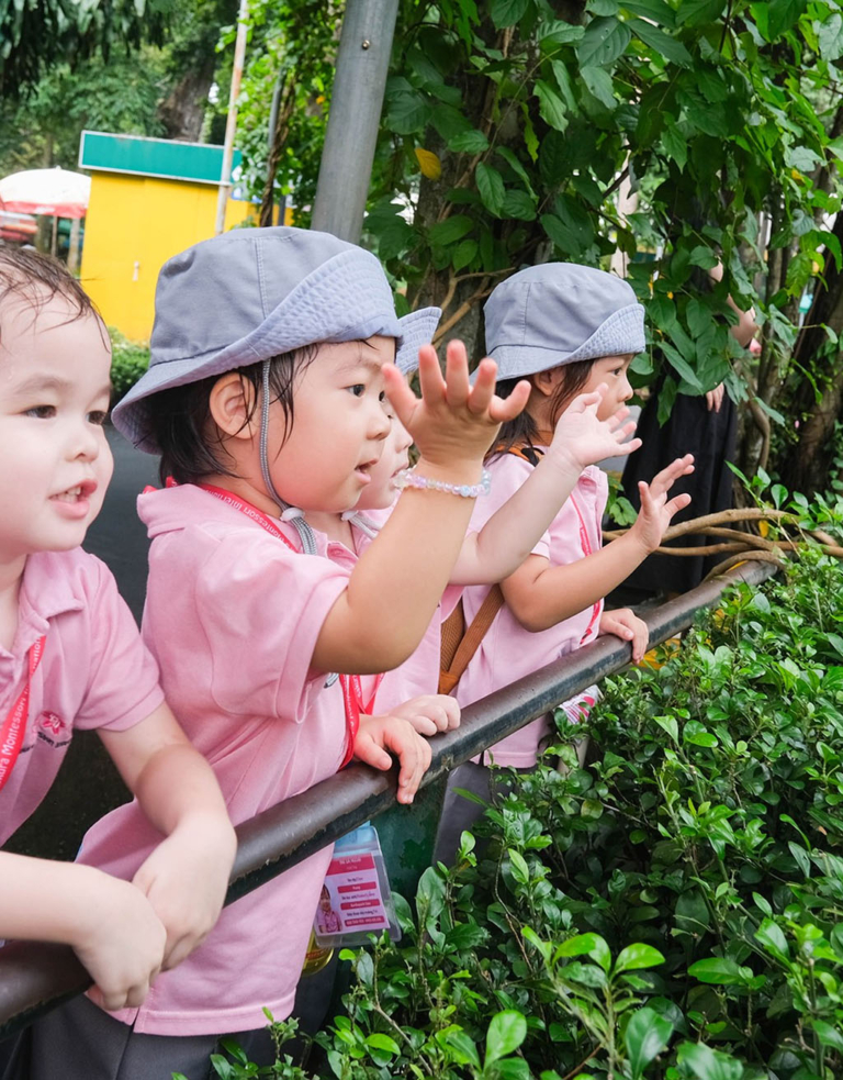 Image Content Image Content